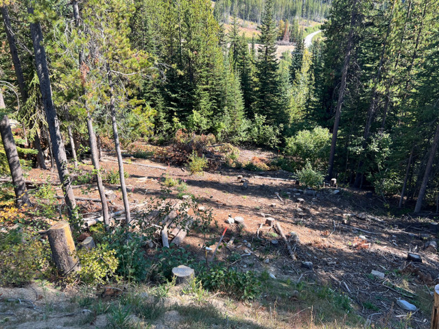 Ski hill lot for sale - Oliver, BC in Land for Sale in Penticton - Image 2