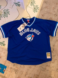 Joe Carter Toronto Blue Jays Mitchell and Ness Baseball Jersey