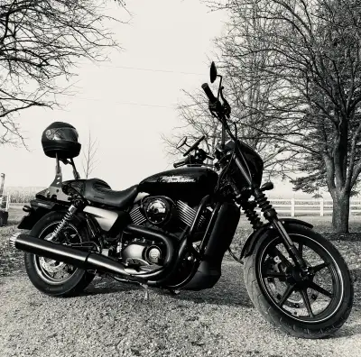 2015 Harley Davidson 750 Street Blacked out! Lots of upgrades too many to post contact if serious on...