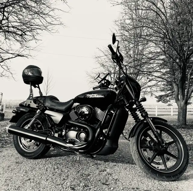 2015 Harley Davidson 750 Street  in Street, Cruisers & Choppers in Markham / York Region - Image 2