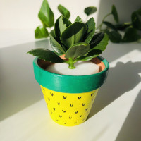 Hand painted clay pot - 2.5" - watermelon and pineapple