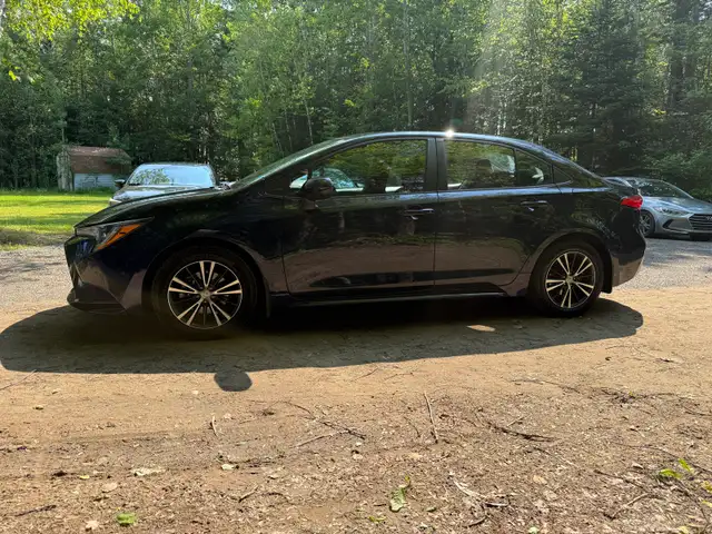 2022 Corolla LE513987910493153284
