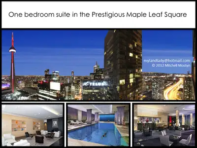 Modern furnished executive condo in Maple Leaf Square - Best location in Downtown Toronto, Bremner B...