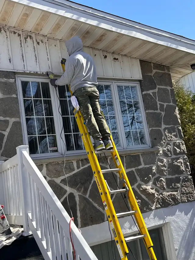 Hamilton painting541614576511887368