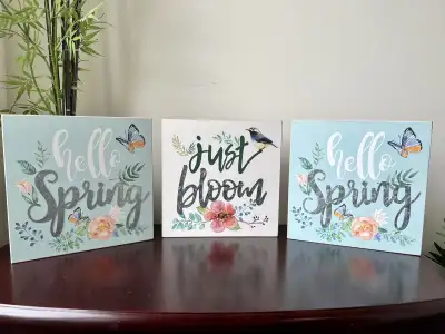 NEW SIGN: Hello Spring (Just Left), View more