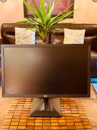 LG 22” Screen LCD monitor