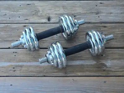 Chrome Dumbbell Set – 25 lbs, View more