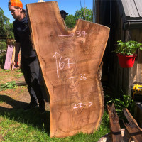 Live Edge Wood Slabs | Kiln Dried Wood Slabs | Live Edge Lumber