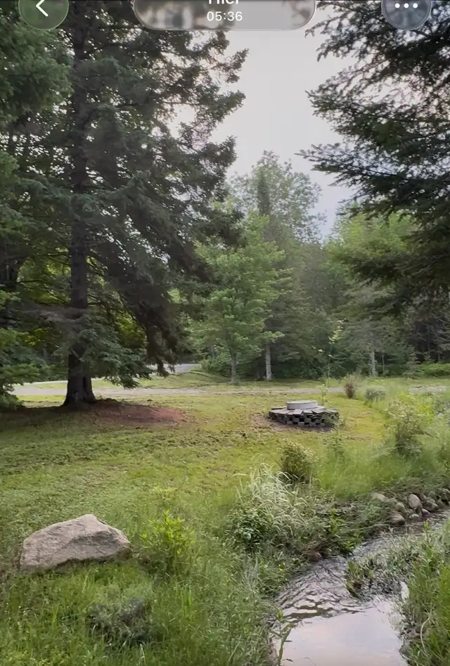 Camping site489520067206850563