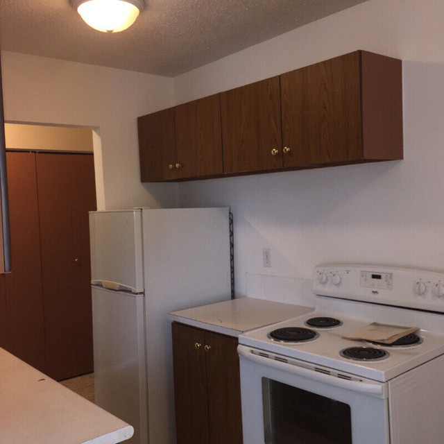 APARTMENTS FOR RENT - BEST RATES IN PRINCE ALBERT in Long Term Rentals in Prince Albert - Image 3