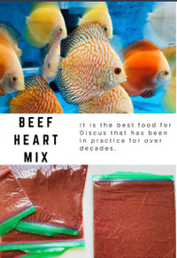 Nourriture pour poisson - cœur de bœuf 