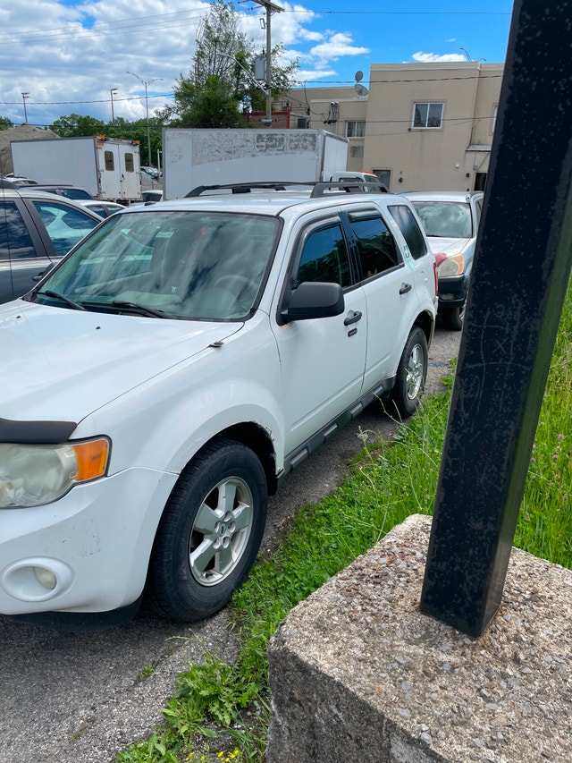 2010 Ford Escape XLT 3L, AWD — photo 5