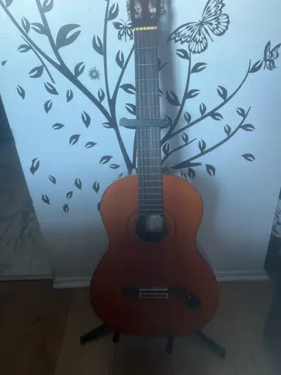 Guitare Aria, View more