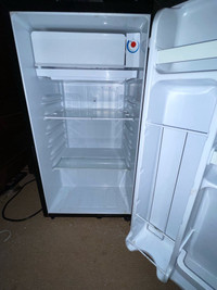 big mini fridge