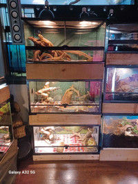 Exotic Pet Rescue Accepting Unwanted Exotics 
