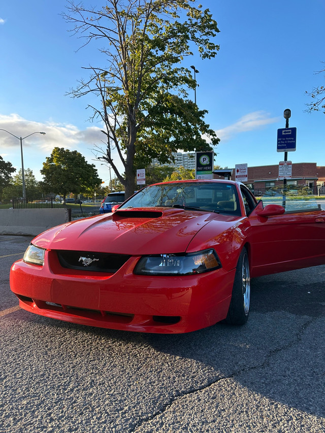 2000 FORD MUSTANG ALBERTA CAR in Cars & Trucks in City of Toronto
