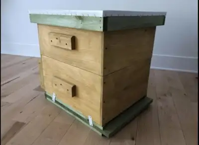 Apiculture accompagnée Comprend les ruches construites durables avec des matériaux de qualité supéri...