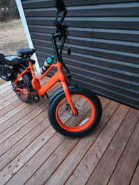 Electric  bicycle 
