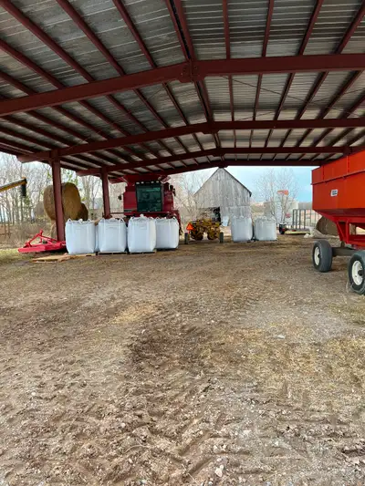 Have cleaned feed and seed oats for sale. Seed oats is off certified seed. Available in 1000 lb and...