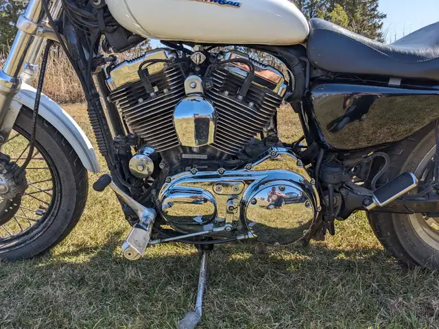 2006 Harley Davidson 1200 Sportster in Street, Cruisers & Choppers in St. Albert - Image 8