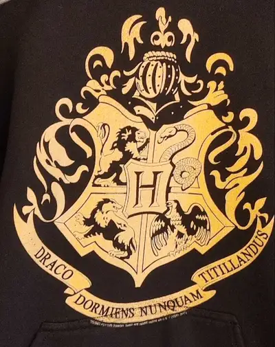 Men's size large Gildan Harry Potter hooded sweatshirt. Black with pull string hood and front pocket...