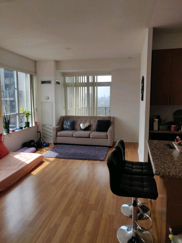 Looking for an Indian female flatmate (preferrably veg) in Room Rentals & Roommates in City of Toronto - Image 2