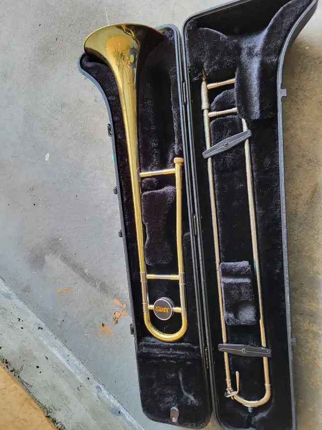 Musical instrument in Guitars in Delta/Surrey/Langley - Image 3