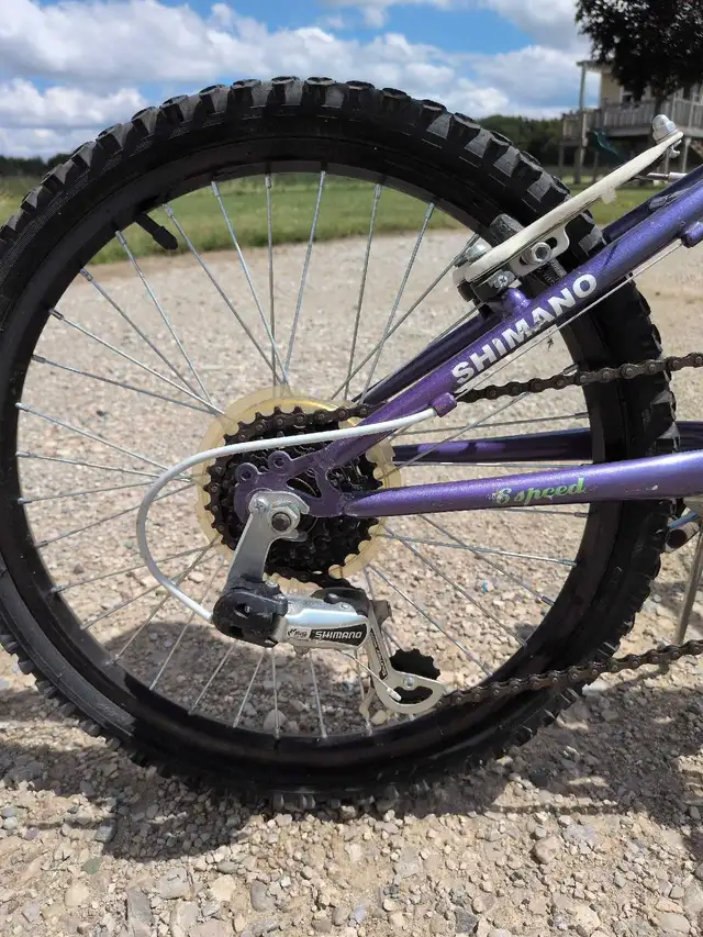 Nakamura Meyou 20-inch Bicycle in Kids in Owen Sound - Image 4