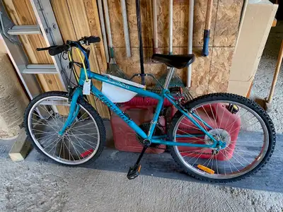 West Kildonan Backyard Sale Saturday only!!!, View more