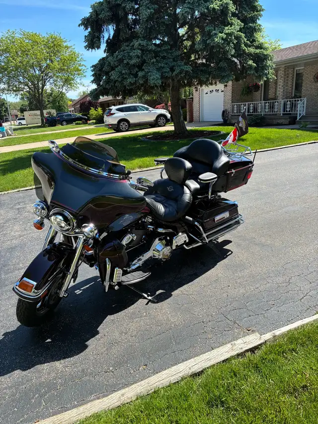 Harley Davidson motorcycles. in Touring in Windsor Region - Image 7