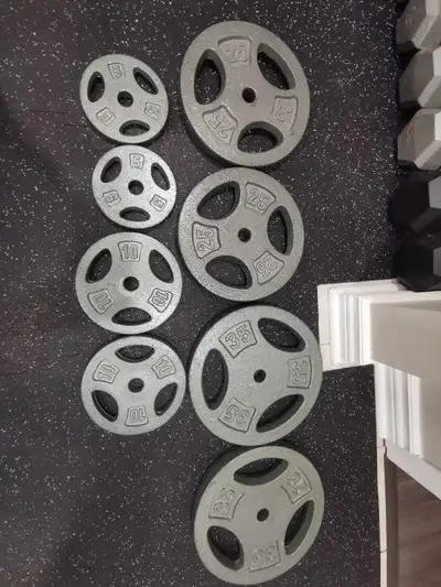 150 lb Cast Iron Weight Plate Set – Home Gym, View more