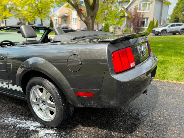 Wow ford Mustang bas Km dans Autos et camions  à Laval/Rive Nord - Image 4