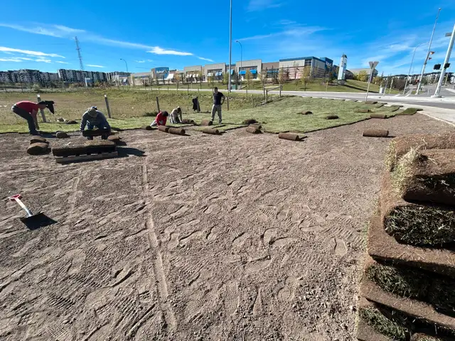Landscaping,Concrete, Fencing,Paving & Much More!62863245073666122