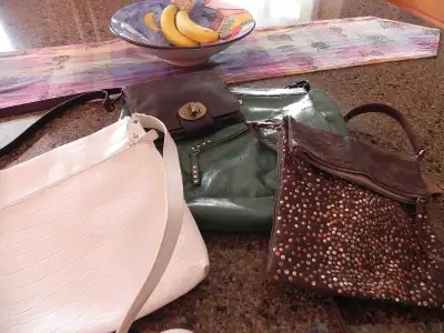 DANIER LEATHER PURSES, View more