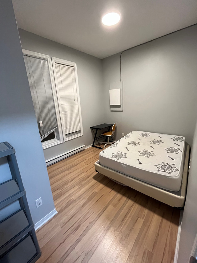 Room for rent- Sandy Hill in Room Rentals & Roommates in Ottawa - Image 2