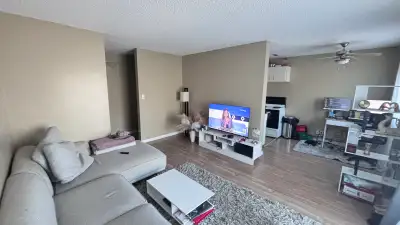 1 Bedroom Apartment for Rent – Lease Takeover – South Edmonton Great location close to Southgate Mal...