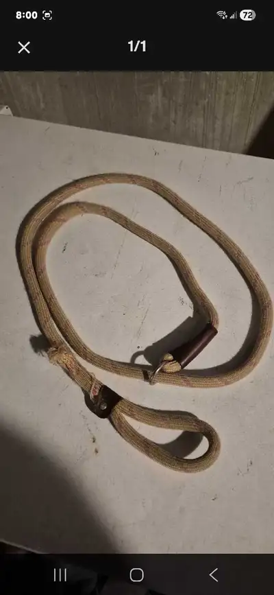 Training leash for dog, View more