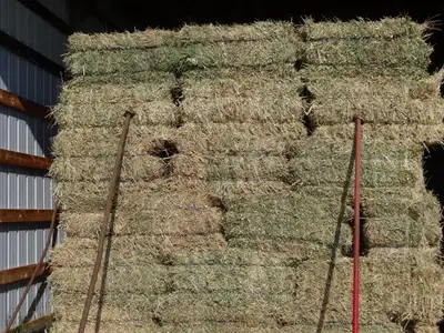 Square Hay Bales, View more