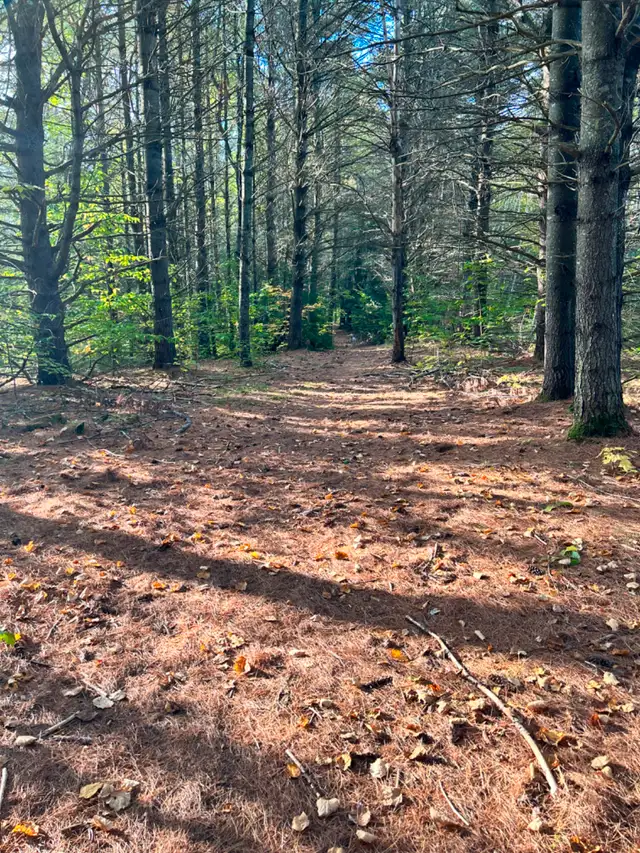 Weekly Campsite ️  Rentals in Quebec in Canada - Image 2