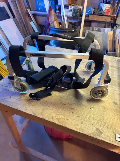 Excellent condition. Would work for plywood or drywall sheets too. 2 swivel casters and 2 locking. L...