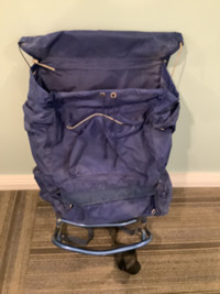 Backboard backpack
