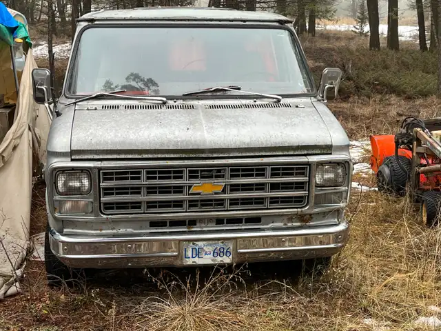 1978 Chevy Van490426471683860481