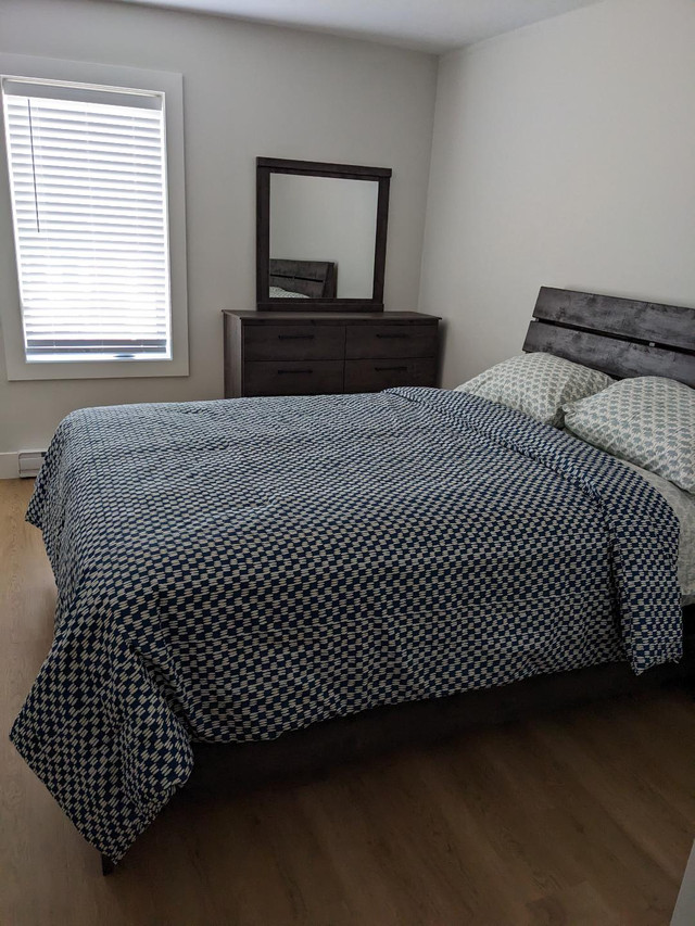 Seeking a female roommate for Sept in Room Rentals & Roommates in Charlottetown - Image 3