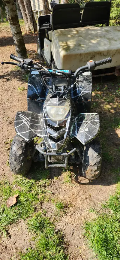 TAO TAO 110cc 2016 Runs good New carb New battery Tubes in tires