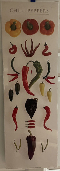 Chili Peppers Kitchen/Cooking Art Print 