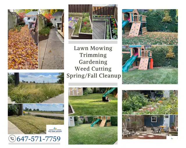 Lawn Mowing/Leaf Cleanup/Fall Cleanup/Yard Cleanup/Grass Cutting63672000006401120