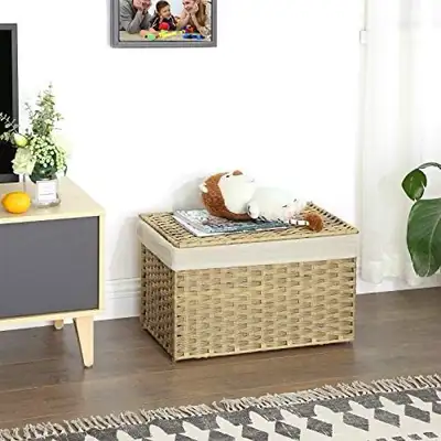 65L Laundry Basket with Lid, Foldable, Removable Fabric Bag and, View more