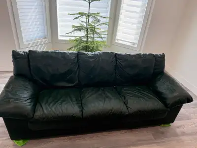Sofa and Love Seat, View more