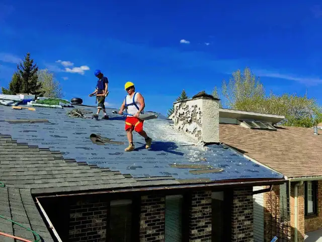affordable roofer65359646977409122