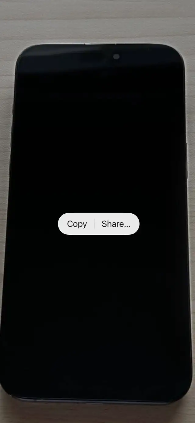 IPhone 15 pro max 256GB refurbished in Cell Phones in Oshawa / Durham Region - Image 3
